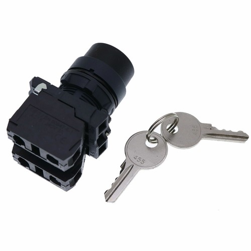Ignition switch keys - ignition, w/keys